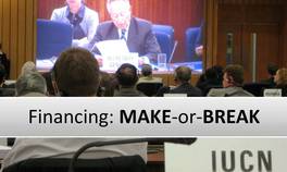IUCN: financing CC is make-or-break for COP 15